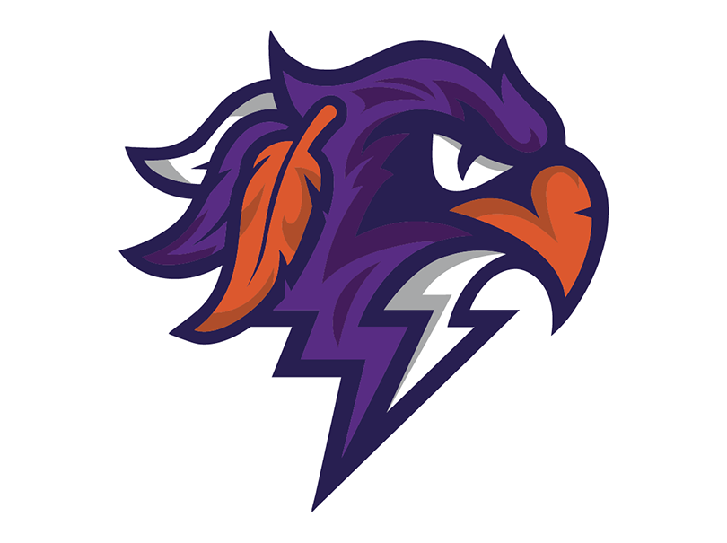 Bandits vs. Thunderbirds