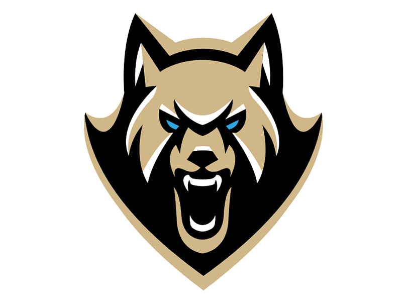 Bandits vs. FireWolves